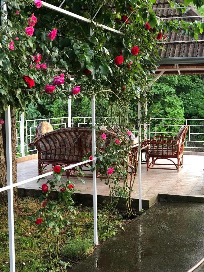 Villa Elita - Bela Crkva Bela Crkva  Exteriör bild