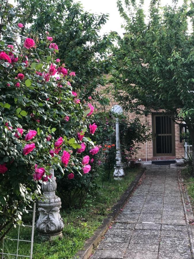 Villa Elita - Bela Crkva Bela Crkva  Exteriör bild